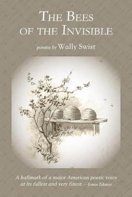 Book cover for The Bees of the Invisible