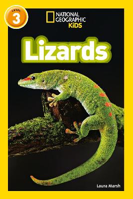 Book cover for Lizards