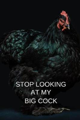 Book cover for Stop Looking at My Big Cock
