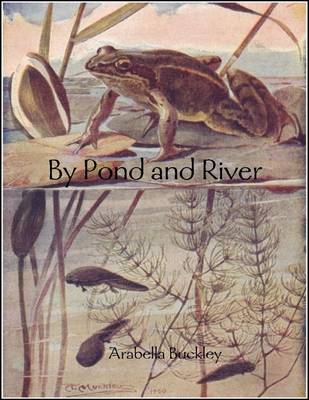 Book cover for By Pond and River