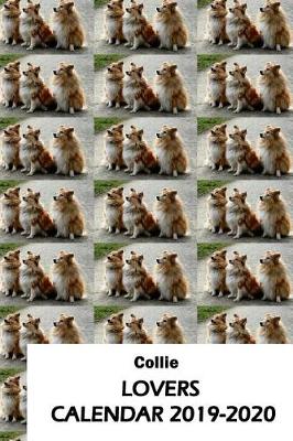 Book cover for Collie Lovers Calendar 2019-2020