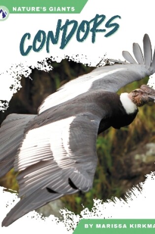 Cover of Condors