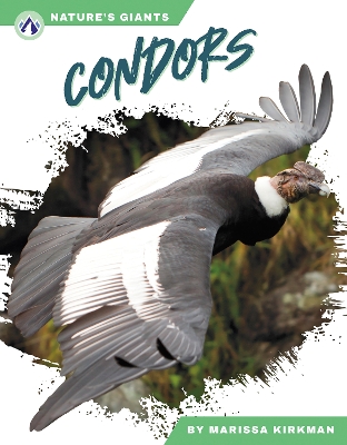 Book cover for Condors