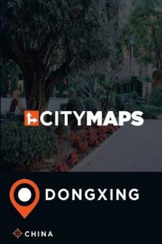 Cover of City Maps Dongxing China