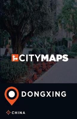 Book cover for City Maps Dongxing China