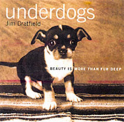 Book cover for Underdogs