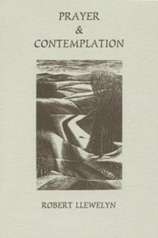 Cover of Prayer and Contemplation/Distractions are for Healing