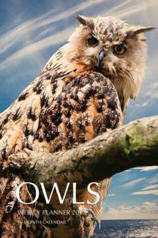 Cover of Owls Weekly Planner 2017