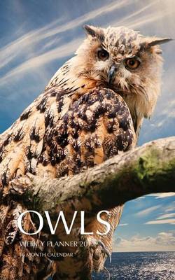 Book cover for Owls Weekly Planner 2017