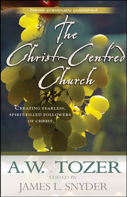 Book cover for Christ-centred Church