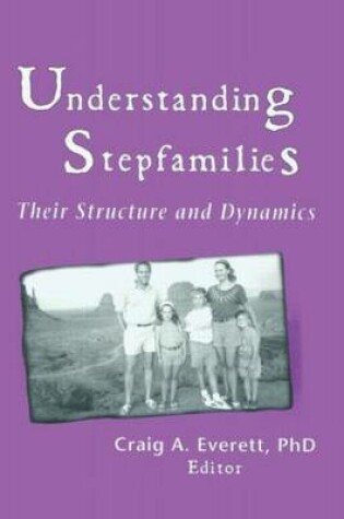 Cover of Understanding Stepfamilies