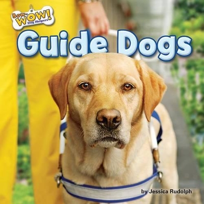 Cover of Guide Dogs