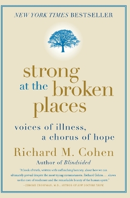 Book cover for Strong at the Broken Places