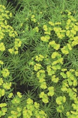 Cover of Cypress Spurge Euphorbia Cyparissias Journal