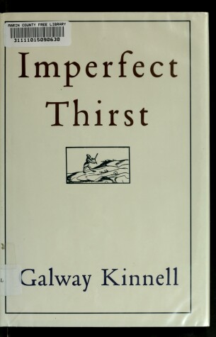 Book cover for Imperfect Thirst