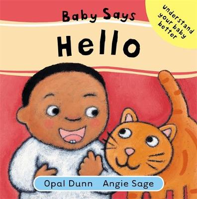 Book cover for Baby Says Hello