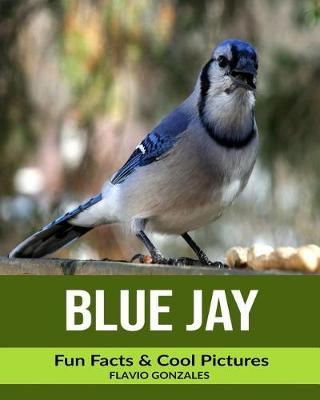 Book cover for Blue Jay