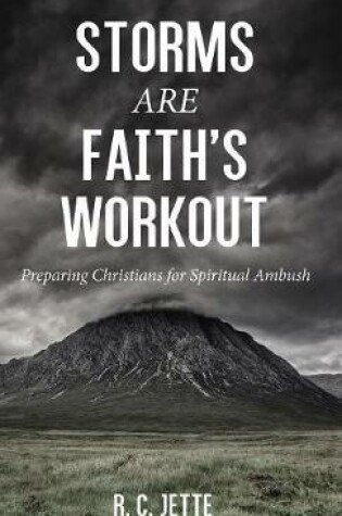 Cover of Storms Are Faith's Workout