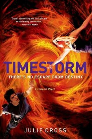 Cover of Timestorm