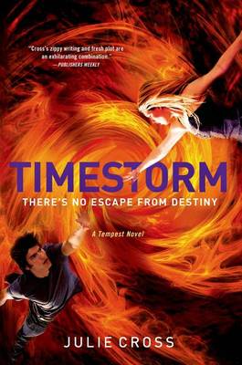 Book cover for Timestorm
