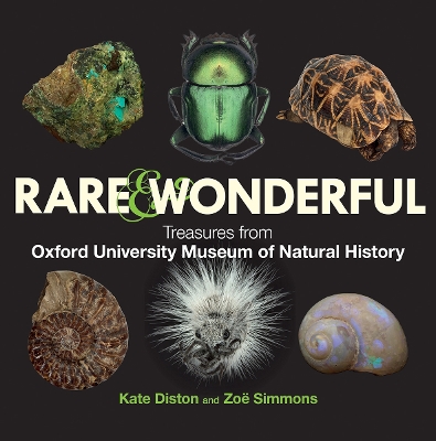 Book cover for Rare & Wonderful