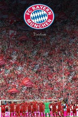 Book cover for Bayern Munich 25