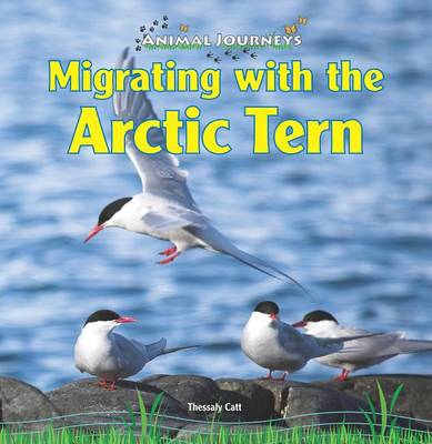 Cover of Migrating with the Arctic Tern
