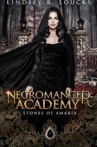 Cover of Necromancer Academy