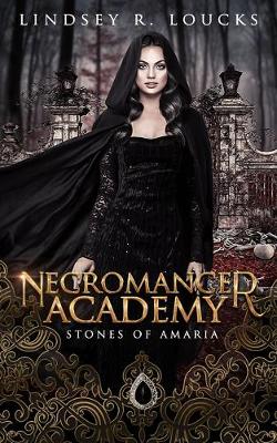 Book cover for Necromancer Academy