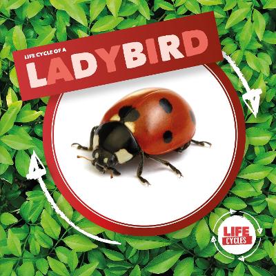 Cover of Ladybird