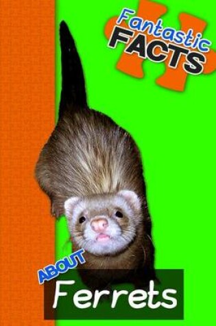 Cover of Fantastic Facts about Ferrets