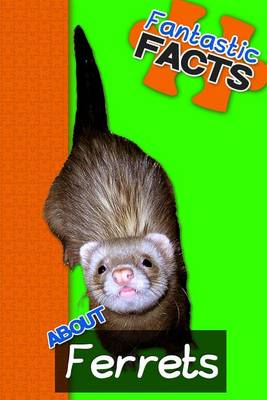 Book cover for Fantastic Facts about Ferrets