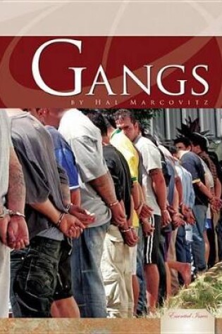 Cover of Gangs