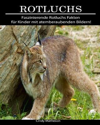 Book cover for Rotluchs