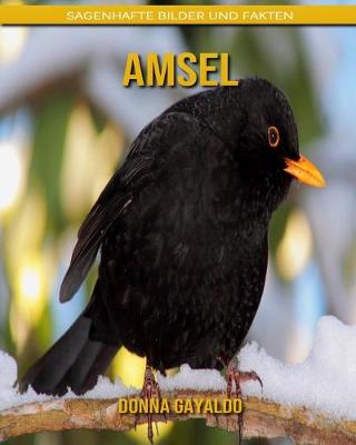 Book cover for Amsel