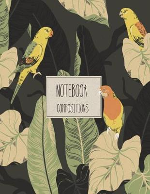 Book cover for Compositions Notebook