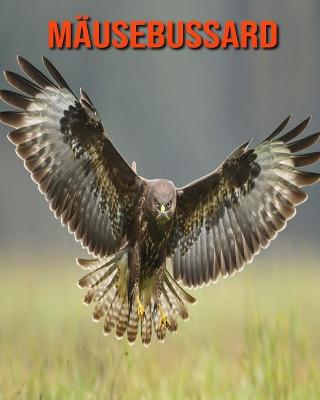 Book cover for Mäusebussard