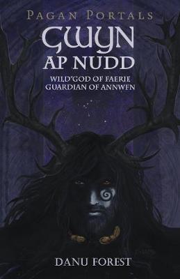 Book cover for Pagan Portals - Gwyn AP Nudd