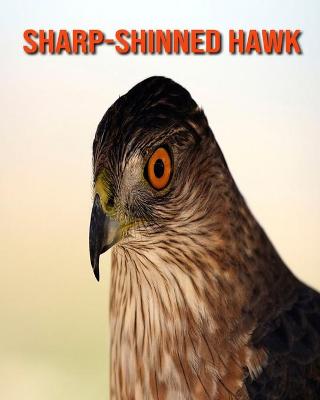 Book cover for Sharp-Shinned Hawk