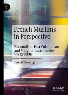 Book cover for French Muslims in Perspective