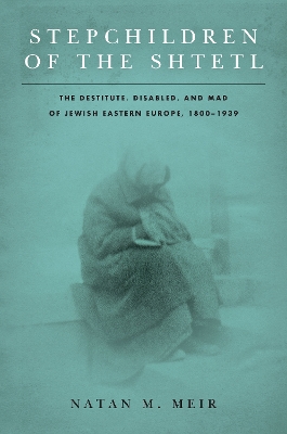 Cover of Stepchildren of the Shtetl