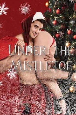 Cover of Under the Mistletoe - A Christmas Anthology