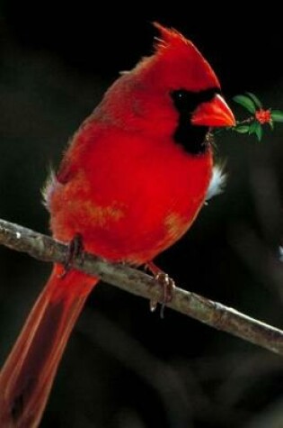 Cover of A Scarlet Red Cardinal Holiday Journal