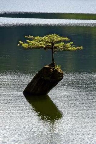 Cover of Solitary Tree in a Lake Journal