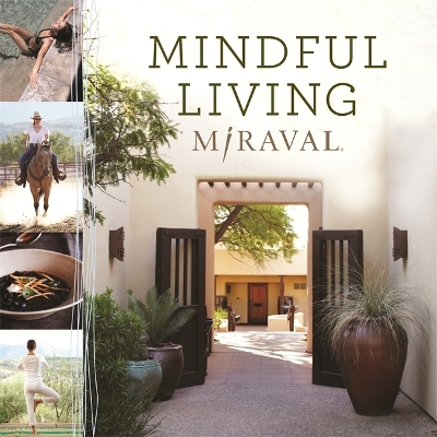 Book cover for Mindful Living