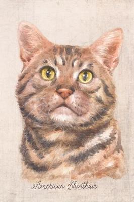 Cover of American Shorthair Cat Portrait Notebook