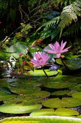 Book cover for Beautiful Water Lily and Pads in the Stream Journal