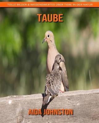 Book cover for Taube