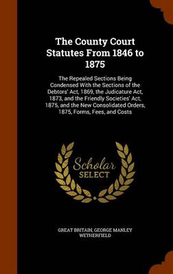 Book cover for The County Court Statutes from 1846 to 1875