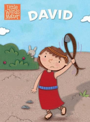 Book cover for David
